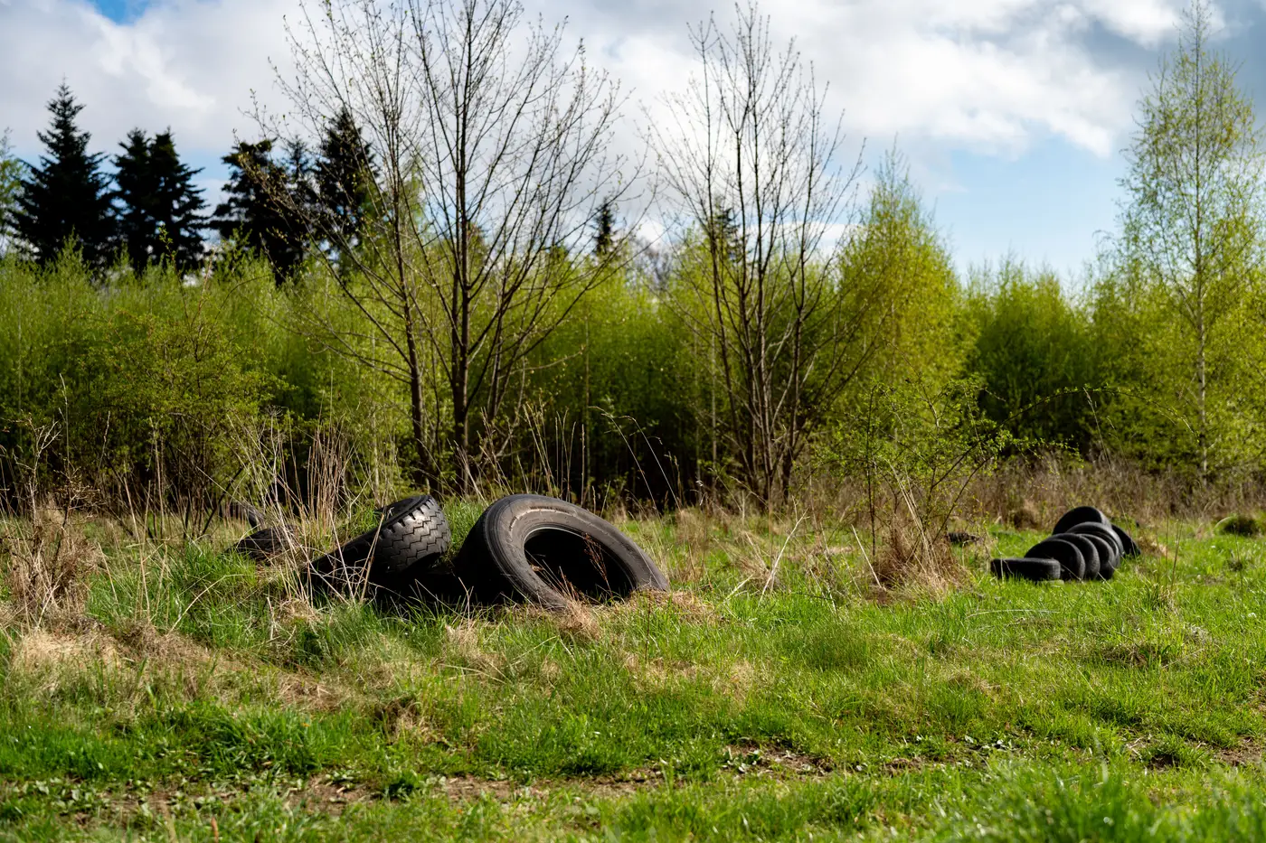 A pile of old tyres dumped at the edge of a field near a tree line.